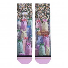 Alpaca