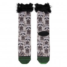 Hairy Racoon