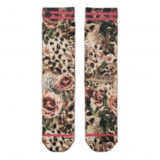 Wild Roses